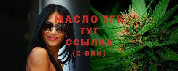 гашик Вяземский