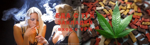 гашик Вяземский