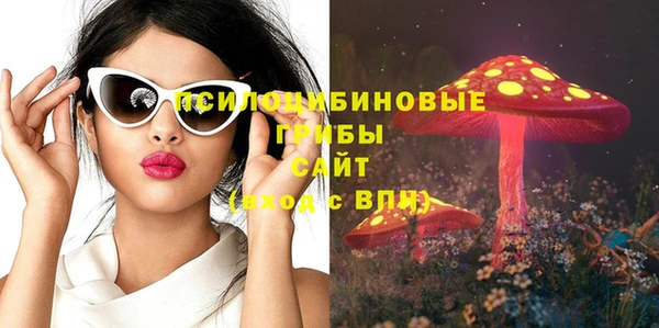 гашик Вяземский
