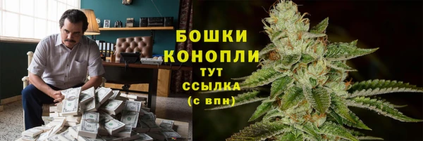 гашик Волосово